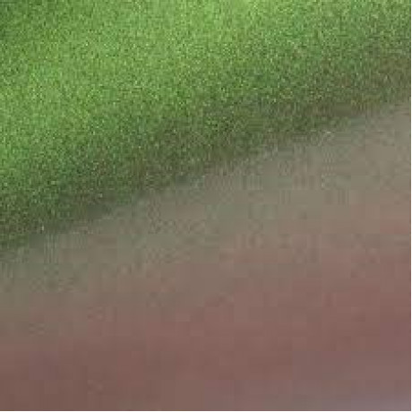 Плёнка-хамелеон LASER GREEN 1,37м CW-04